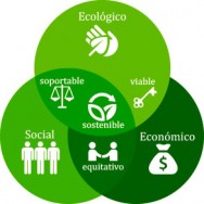 Sustentabilidad en la empresa